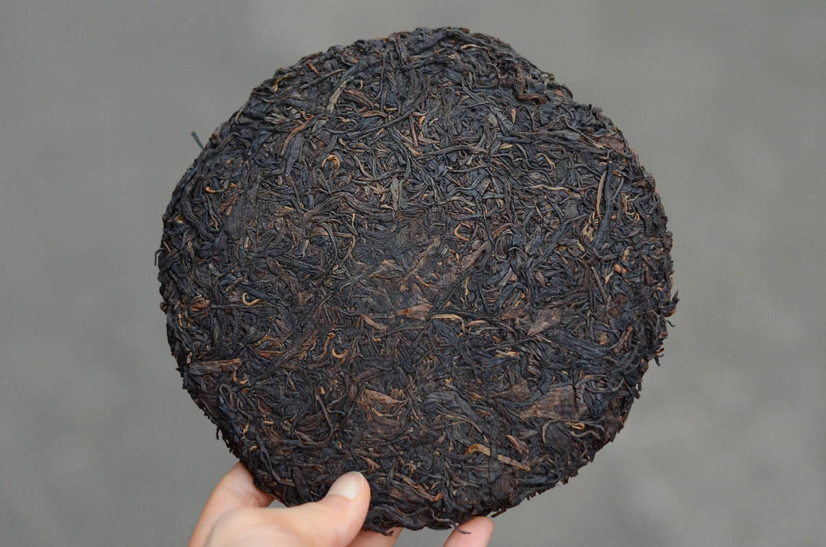 Yi Wu Puer Sheng tea in the nineties – Tong Xin She