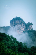 Load image into Gallery viewer, Da Wang Feng Rou Gui/大王峰肉桂