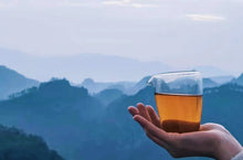 Load image into Gallery viewer, Wuyi Mountain Wilderness Rou Gui/“鹤鸣”