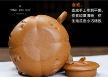 Load image into Gallery viewer, Frog Fun Pumpkin Teapot