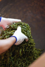 Load image into Gallery viewer, 2019 Xiao Hu Sai GuShu Puer Shneg tea