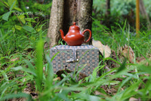 Load image into Gallery viewer, Private customized top wrinkled leather Zhu Ni small Si Ting teapot 90cc
