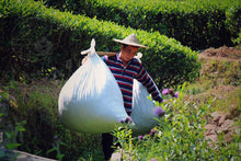 Load image into Gallery viewer, Da Wang Feng Rou Gui/大王峰肉桂