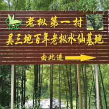 Load image into Gallery viewer, 2015 Lao Cong Shui Xian(老枞水仙)