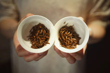 Load image into Gallery viewer, Limited Edition "Guwangkeng Jin Junmei"