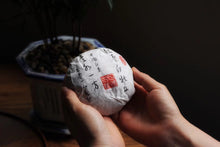 Load image into Gallery viewer, 2018 Bai Mu Dan cake  white tea (75g)