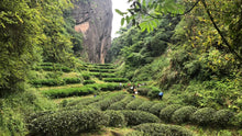 Load image into Gallery viewer, Wuyi Mountain Rock Tea "Su Xin Lan"