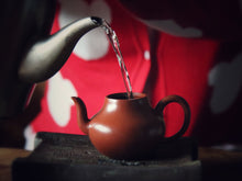 Load image into Gallery viewer, 2022 Purebred Da Hong Pao/纯种大红袍