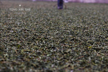 Load image into Gallery viewer, Puer Sheng Tea, an Old village in Iceland, is 780 years old