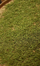 Load image into Gallery viewer, Limited Edition "Guwangkeng Jin Junmei"