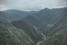 Load image into Gallery viewer, Tong Muguan "Gu Wang Keng" Lao Cong black tea / tree age 160 years old.
