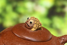 Load image into Gallery viewer, Jianxigongchun Set Zisha Pot/陈真,见喜供春套组·全手工 制作。