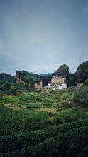 Load image into Gallery viewer, The first batch of national intangible cultural heritage Wuyi rock tea (Dahongpao) production skills inheritor: "Special Grade Handmade Ma Tou Yan Rou Gui" by Mr. Wang Guoxing: