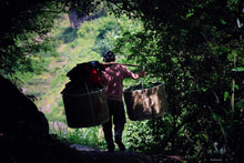 Load image into Gallery viewer, Niu Lan Keng Rou Gui/牛栏坑肉桂(二道火)