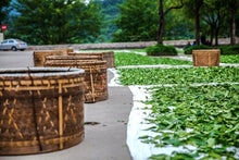 Load image into Gallery viewer, Jin You Di Da Hong Pao(金油滴大红袍)