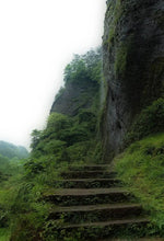 Load image into Gallery viewer, Special Grade Handmade Hui Yuan Keng Gao Cong Shui Xian