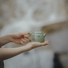 Load image into Gallery viewer, Fanshan Hall Qianshan Cui Canna Showy Pot