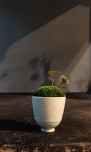 Load image into Gallery viewer, Jingdezhen thin tire smelling tea cup