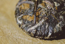 Load image into Gallery viewer, 2009 Old White Tea Yuan Man( 圆满 )