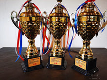 Load image into Gallery viewer, "The Cup of China"|Gold Award Tasting package