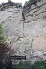 Load image into Gallery viewer, Wuyi Mountain Rock Tea • Shui Lian Dong Zheng Yan Rou Gui/“笑纳”水帘洞正岩肉桂