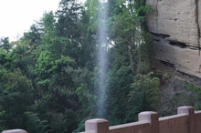 Load image into Gallery viewer, Wuyi Mountain Rock Tea • Shui Lian Dong Zheng Yan Rou Gui/“笑纳”水帘洞正岩肉桂