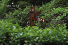 Load image into Gallery viewer, Rock tea core producing areas :Dao Shui Keng Rou Gui “倒水坑肉桂”