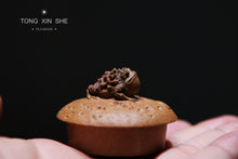 Load image into Gallery viewer, "Chan Bao"《蟾宝》 陈真制作200cc