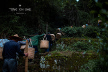 Load image into Gallery viewer, 2022 Cao Xie Xian Rou Gui (草鞋仙肉桂)