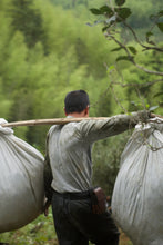 Load image into Gallery viewer, "100 Years + Old Cong Narcissus"100+百年老枞水仙