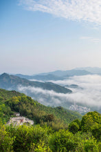 Load image into Gallery viewer, Peach Kernel Aroma Fenghuang Dancong Oolong/凤凰单丛桃仁香