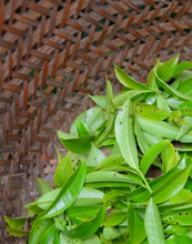 Load image into Gallery viewer, “SNOW FLAKES”Phoenix dancong oolong/“雪片”