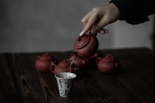 Load image into Gallery viewer, Bubble bottle Zhu Ni teapot/95cc/120cc limited time special offer, free shipping worldwide.
