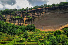 Load image into Gallery viewer, Bulguk Rock Rou Gui/佛国岩肉桂