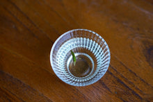 Load image into Gallery viewer, Charcoal Bai Hao Yin Zhen