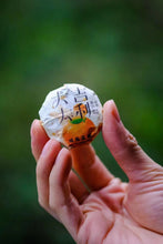 Load image into Gallery viewer, Da Ji Da Li 2015 Tangerine Peel White Tea Small Round Cake