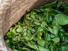 Load image into Gallery viewer, 2021 Wuyi Rock Tea Bergamot (Sydney)佛手/雪梨