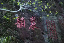 Load image into Gallery viewer, 2022 Purebred Da Hong Pao/纯种大红袍