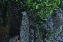 Load image into Gallery viewer, Lao Cong Wu Dong PeachFragrant Dan Cong