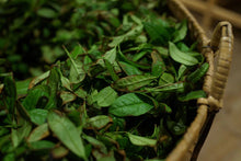 Load image into Gallery viewer, Zheng Yan Lotus Peak "Ruixiang"