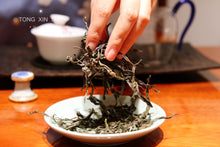 Load image into Gallery viewer, 2021 Xi Gui Dan Zhu Ancient Tree Puer Sheng Tea(2021年昔归单株古树茶)