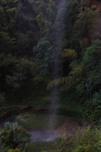 Load image into Gallery viewer, Wuyi Mountain Rock Tea • Shui Lian Dong Zheng Yan Rou Gui/“笑纳”水帘洞正岩肉桂