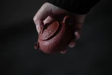 Load image into Gallery viewer, Bubble bottle Zhu Ni teapot/95cc/120cc limited time special offer, free shipping worldwide.
