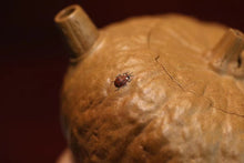 Load image into Gallery viewer, Lifting beam pumpkin teapot/pumpkin teapot