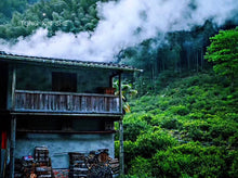 Load image into Gallery viewer, Tong Mu Guan Lao Cong Hong Cha 2021