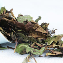 Load image into Gallery viewer, Wild White Tea - 2018