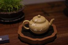 Load image into Gallery viewer, "Plum blossom lotus seed purple clay pot"