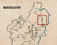 Load image into Gallery viewer, 2021 Xi Gui Dan Zhu Ancient Tree Puer Sheng Tea(2021年昔归单株古树茶)