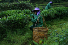 Load image into Gallery viewer, Zheng Yan Lotus Peak "Ruixiang"