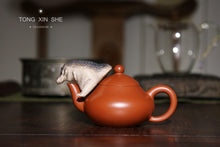 Load image into Gallery viewer, Li Xing Zhu Ni Da Hong Pao 120cc